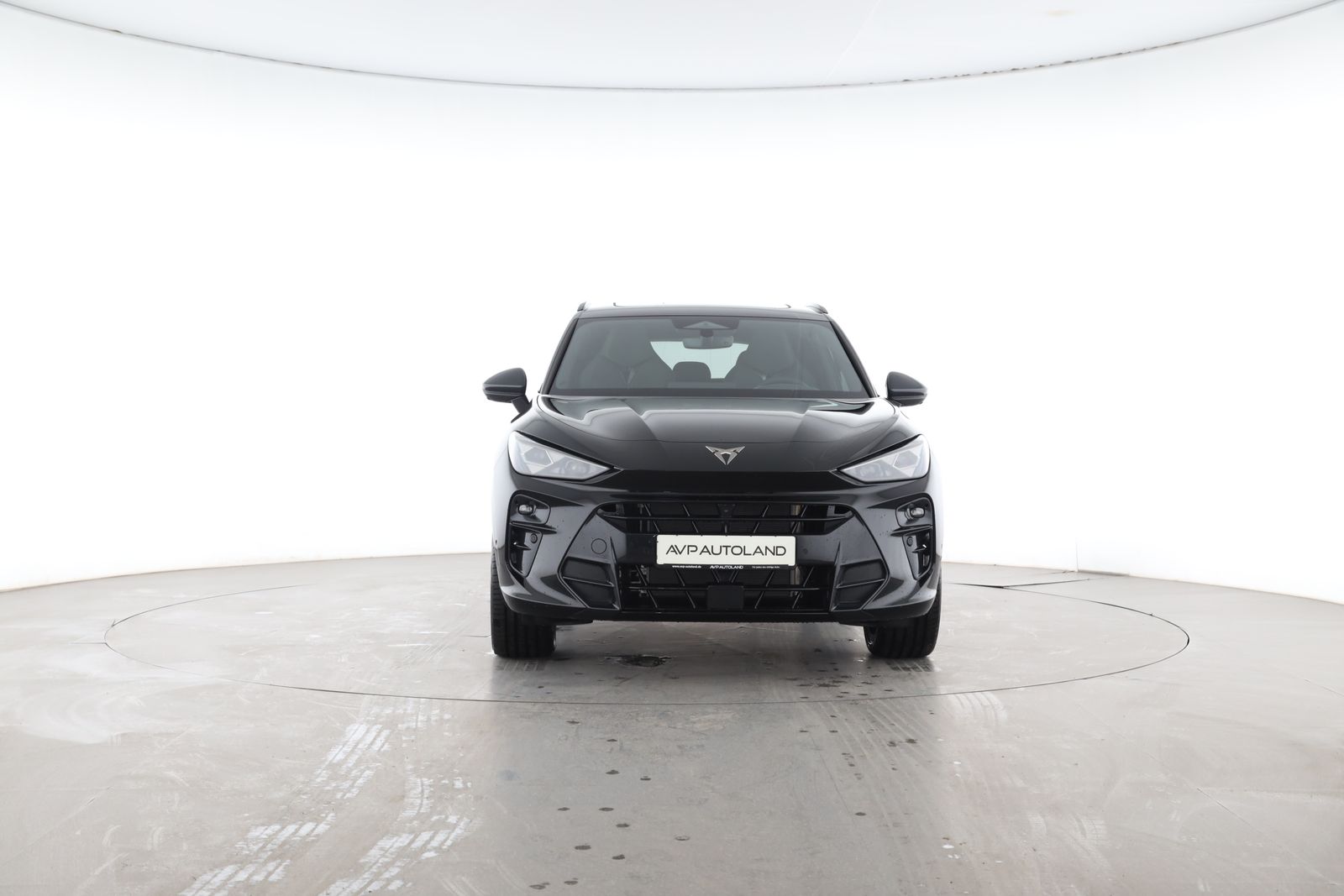 Cupra Terramar - Bild 6