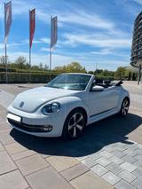 Volkswagen Beetle 1.6 TDI DSG Design BMT Cabriolet Desi... - Volkswagen Beetle: TDI