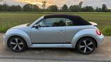 Volkswagen Beetle 2.0 TDI 81kW BMT CLUB Cabriolet CLUB - Volkswagen Beetle: TDI