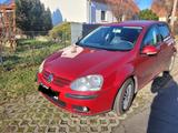 Volkswagen VW Golf V 1.4 Trendline - Volkswagen Golf aus 2003: Golf4