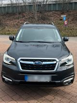 Subaru Forester - Subaru Forester aus 2016
