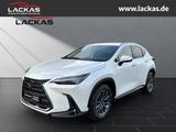Lexus NX 450 h+ *Executive* Interieur - Paket + Tecnol - weiße Lexus NX 450h