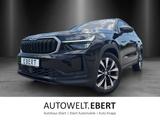 Skoda Kodiaq Selection 2,0 TDI 142 kW DSG 4x4