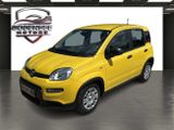 Fiat Panda Pandina