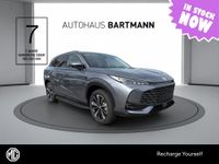 MG HS - Vorschau Bild 1