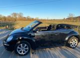 Volkswagen New Beetle 1.9 TDI DPF Cabriolet - - Volkswagen New Beetle in Bielefeld