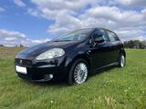 Fiat Punto 1.4 16V Dynamic Dynamic - Fiat Punto aus 2008: 1.4