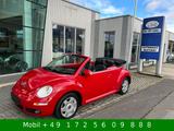 Volkswagen New Beetle Cabriolet 2.0 Freestyle Leder - Volkswagen New Beetle: Freestyle