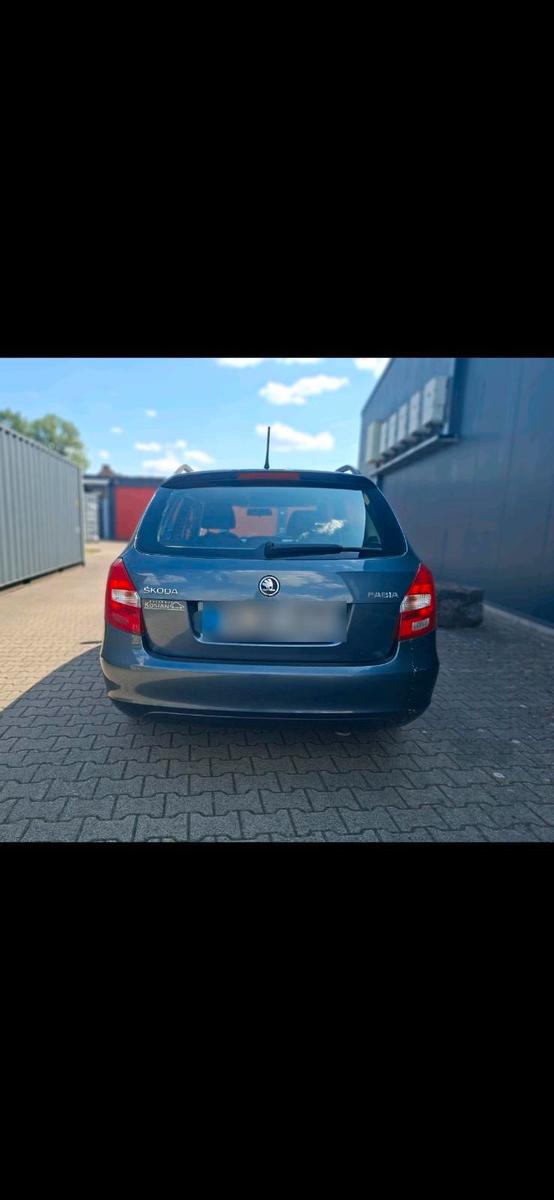 Skoda Fabia 2014 — photo 10