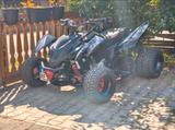 Beeline Bestia 5.5 - BEELINE BENZIN QUAD