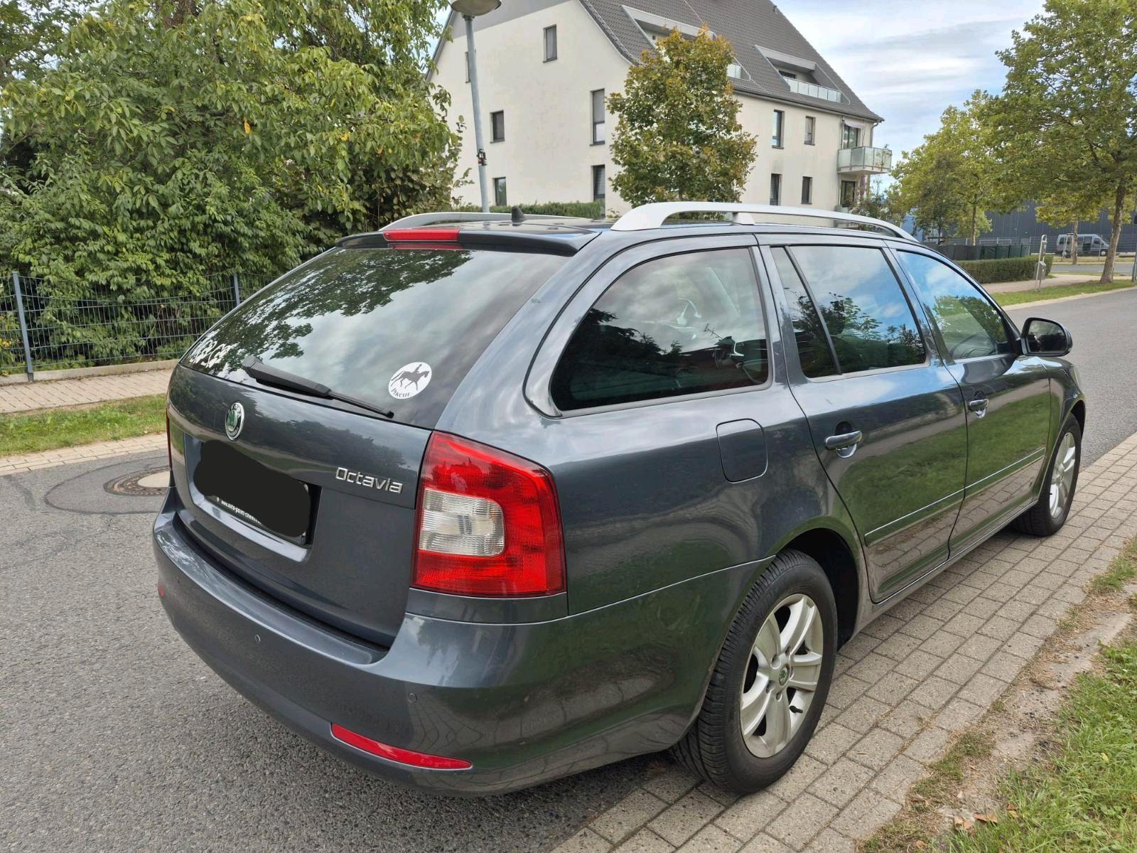 Skoda Octavia 2010 — вигляд ззаду