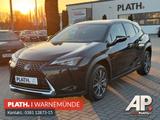 Lexus UX 250 h Launch Edition - Lexus UX aus 2019