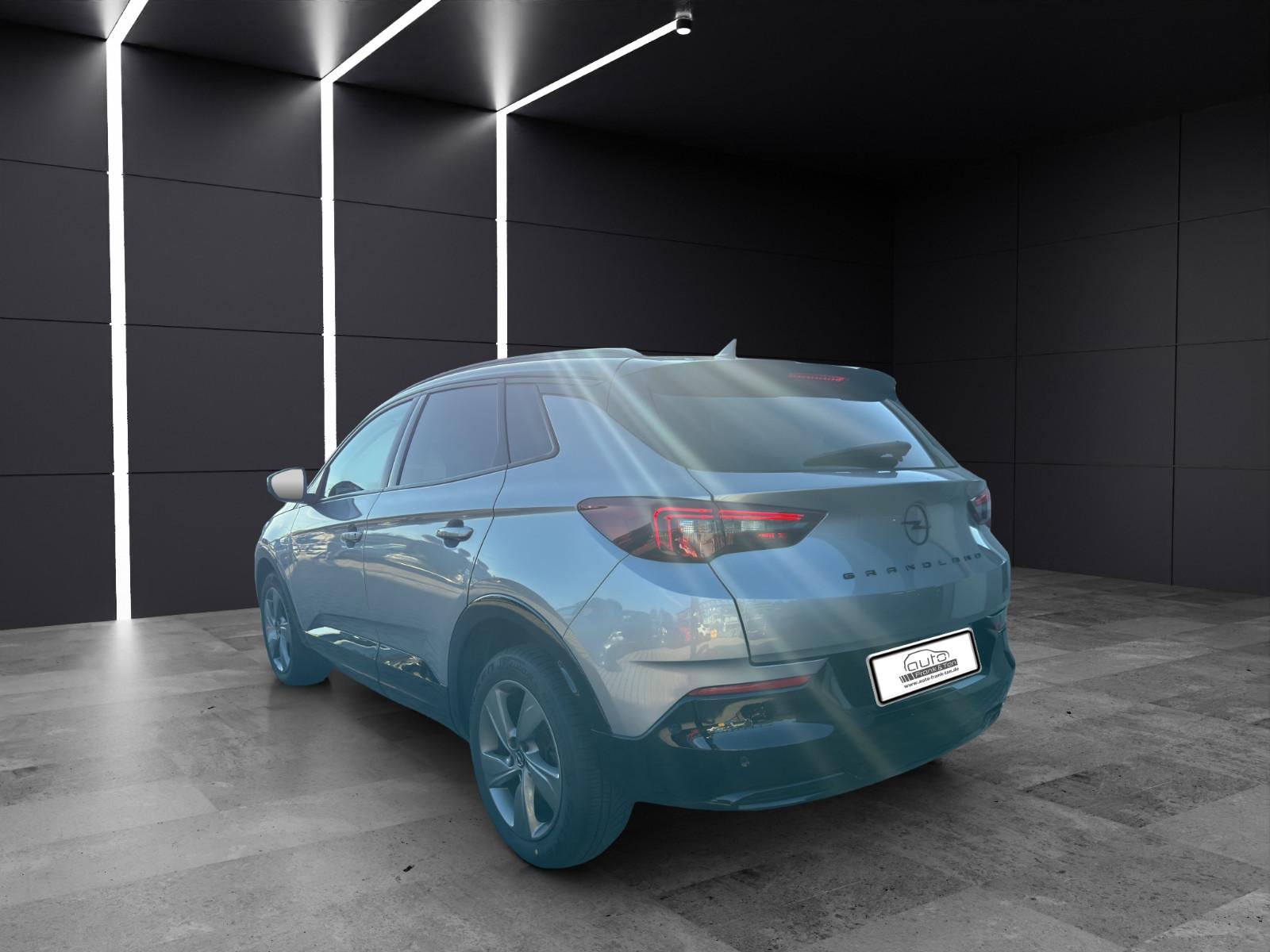 Opel Grandland (X)/GS /Winter Paket/Navi/Style Paket
