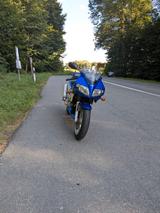Suzuki SV 1000 S - SUZUKI SV1000S