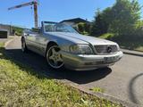 Mercedes-Benz SL 280 SL - Mercedes-Benz SL 280 mit Benzin-Antrieb: Cabrio, Automatik