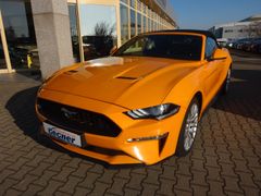 Fahrzeugbild-Thumbnail