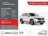 Kia Sorento 1.6 T-GDI 230PS HEV Vision AWD ASS STY A - Kia Sorento Tageszulassungen