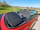 Volkswagen T-Roc Cabriolet 1.0 TSI OPF Style Style - Volkswagen T-Roc: Rot, Sitzheizung, Cabrio