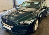 Jaguar XE Portfolio, Kamera, Vollleder, Navi, Automatik - Jaguar: Grün