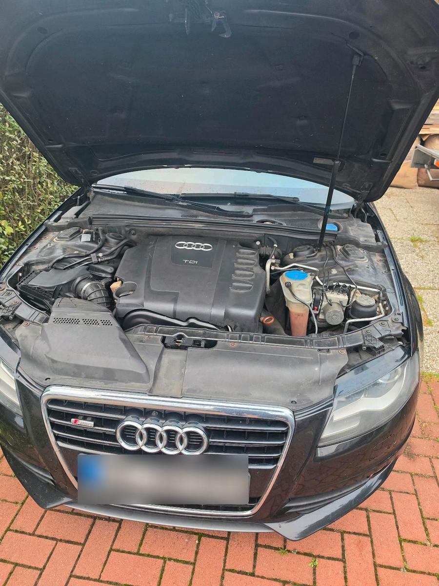 Audi A4 2009 — photo 8