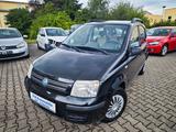Fiat Panda 1.3 16V JTD Dynamic KLIMA*ZV*EL.FH*5-TRG - Fiat Panda Dynamic mit Diesel-Antrieb