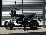 Honda DAX 125 * ST 125 / TZ 2026 - HONDA DAX 125