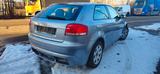 Audi A3 1.6 Attraction,TÜV und Service Neue. - Audi A3: 1.6