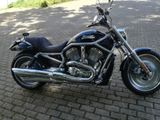 Harley-Davidson VRSCA V-Rod °Screamin Eagle  - 2004 V ROD