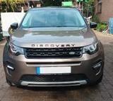 Land Rover Discovery Sport Si4 HSE Luxury, neue Kette&Insp. - Land Rover Discovery Sport: Hse Luxury