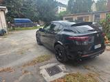Alfa Romeo Stelvio 2.9 Bi-T. V6 375kW Quadrifoglio AT8-... - Alfa Romeo Stelvio von privat