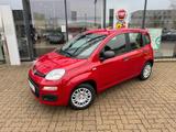 Fiat Panda 1.0 Hybrid+Komfortpaket+5Sitz+Parksensoren - Fiat Panda New cars