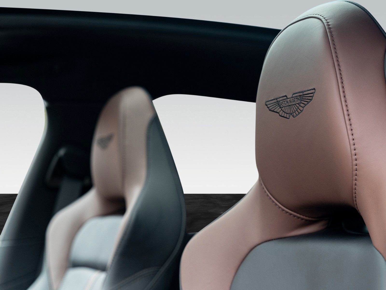 Aston Martin DBX707 | Carbon Trim | Privacy Glass foto 14