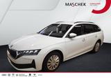 Skoda Octavia Combi Essence 1.5 e-tec DSG AHK Sitzh PD - Skoda Octavia: Essence
