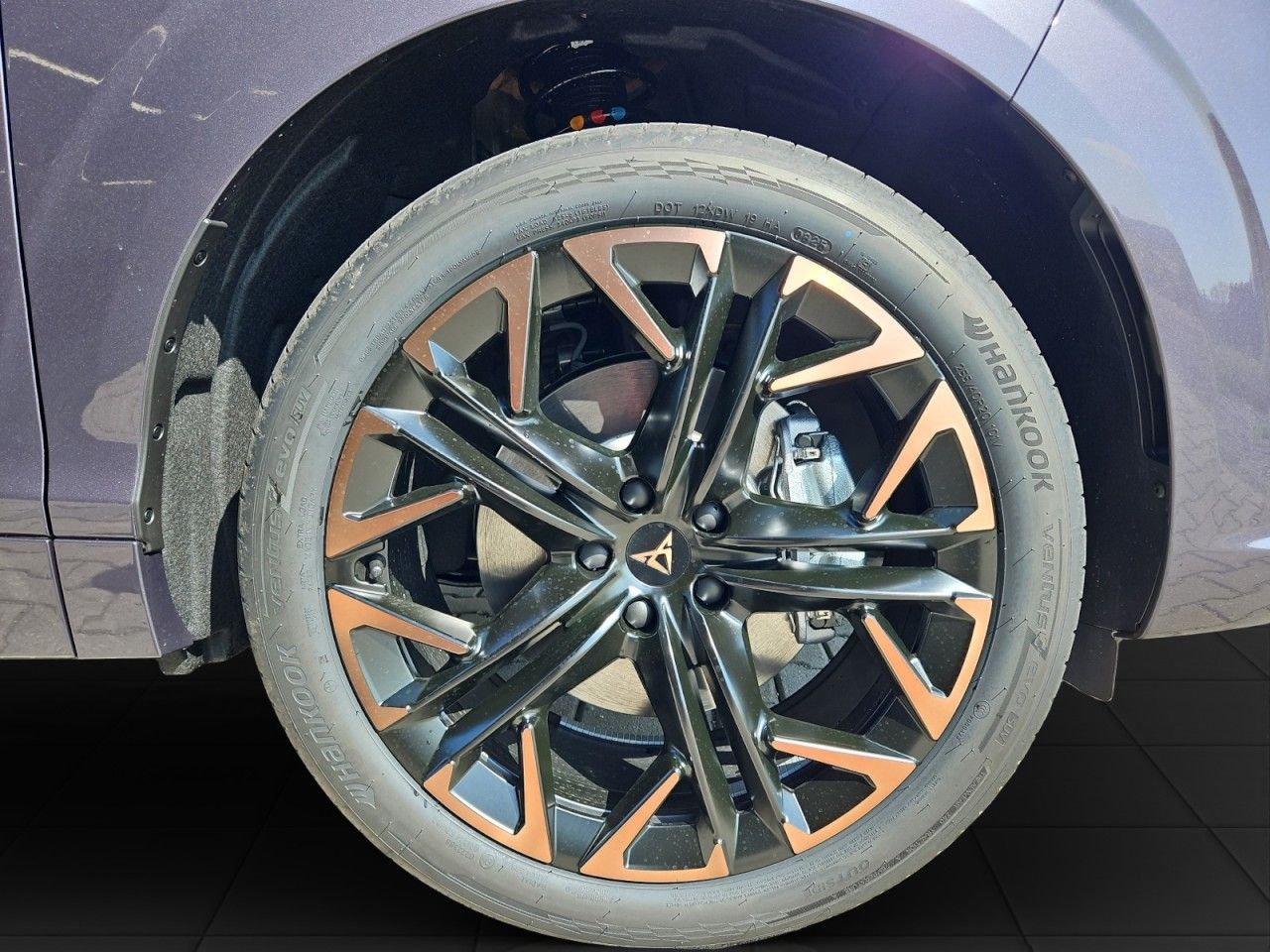 Fahrzeugabbildung CUPRA Terramar 2.0 TSI DSG 4Drive AHK,Sennheiser