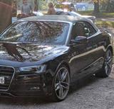 Audi A5 quattro Cabrio B8 - Audi 80: Roadster