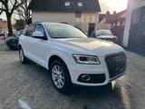 Audi Q5 2.0 Benzin guattro.Navi+Shzg+Ahk+TÜV 05/2027. - Audi Q5 bis 15.000 Euro