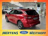 Ford Kuga ST-Line X 2.5 PHEV Matrix-LED + Head-up - Ford Kuga in Hamm