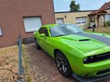 Dodge Challenger 3,6 l BJ 2017 Grün/Schwarz - Dodge Challenger: Coupe