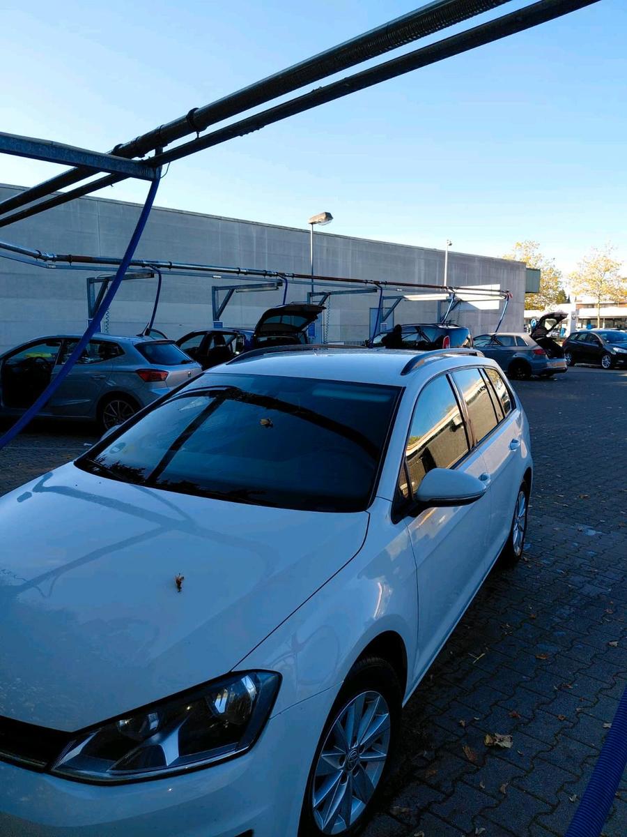 Volkswagen Golf 2015 — вигляд ззаду