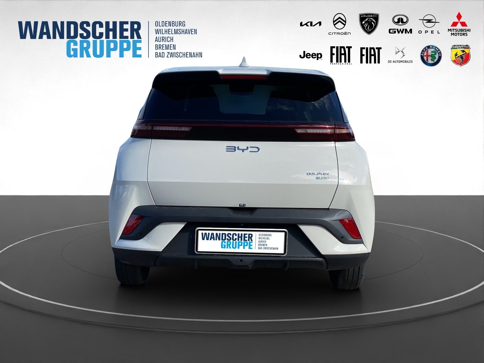BYD DOLPHIN SURF