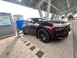 Tesla Model Y Performance Dual Motor AWD Taxi 1. Hand - : Taxi, Privatanbieter