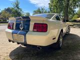 Ford Mustang GT 500 aus Sammlung Originalzustand - Ford Mustang: Or