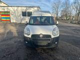 Fiat doblo Maxi XL Hochdach - Fiat Doblo: Maxi Xl