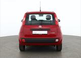 Fiat New Panda Pandina 1.0 mHEV App Connect PDC klima - rote Fiat New Panda