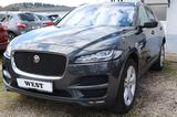 Jaguar F-PACE 3.0 TDI AWD HUD Leder Panorama 124 Tkm. - Jaguar: 12