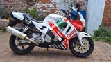 Honda CBR600 1996 PC31 - HONDA 1996 CBR 600