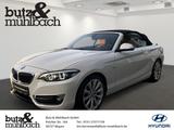 BMW 220 Luxury Line Cabrio 8 Gang -MAYEN - BMW: Cabrio, 8