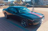 Dodge Challenger - Dodge Challenger mit Panoramadach
