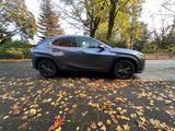 Lexus UX 250h - Hybrid, Garantie Lexus/Scheckheft gep. - Lexus: L