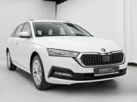 Skoda Octavia - Vorschau Bild 4